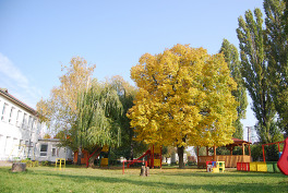 skolka6